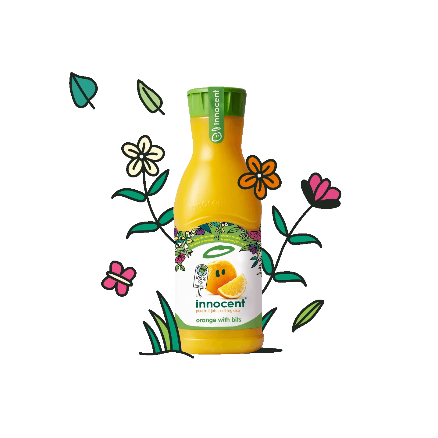 bottle