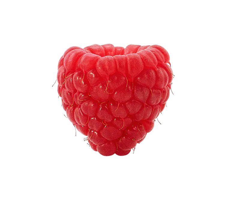 raspberry